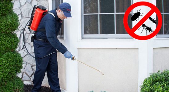 Karahallı Böcek İlaçlama böcek ilaçlama ve haşere kontrolü — ilaclama-tr.com